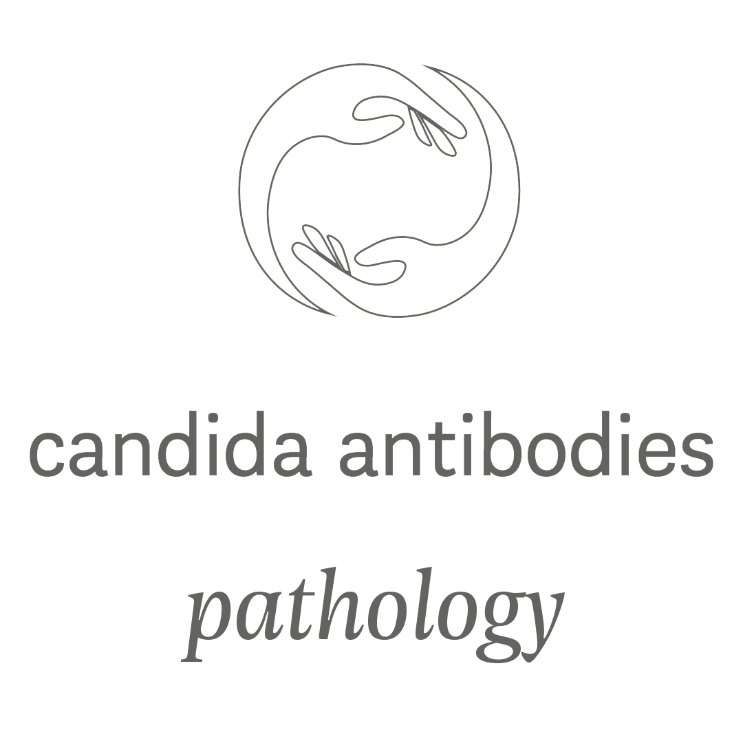 candida-antibodies-profile-elderi