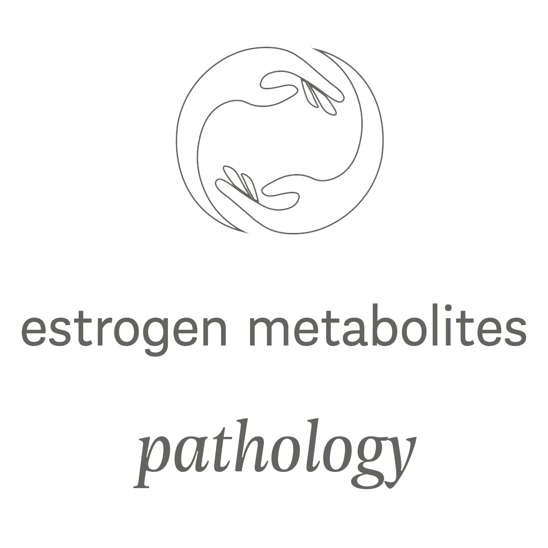 estrogen-metabolites-assessment-elderi